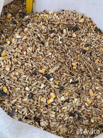 Зерносмесь