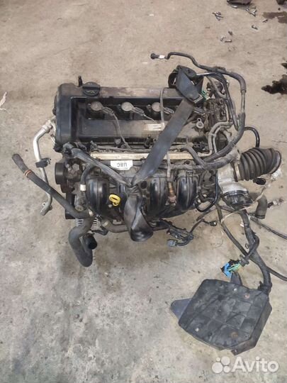 Двигатель qqdb 1.8L бензин Форд Фокус 2