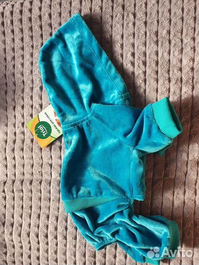 Одежда для собак