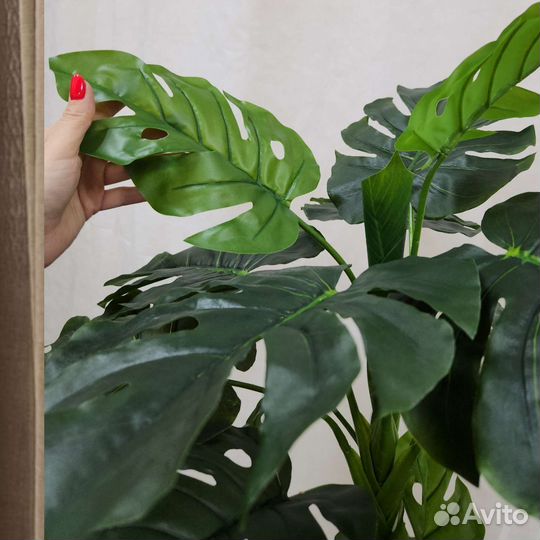 Монстра Премиум цветок искусственный в кафе