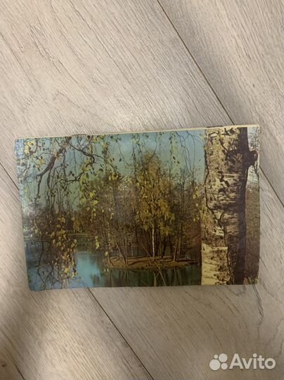 Музеи парки Ломоносов