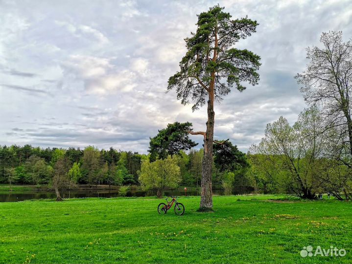 Новые Подножки На Перо Велосипеда Решайся