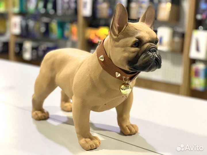 Блютуз колонка собака Бульдог