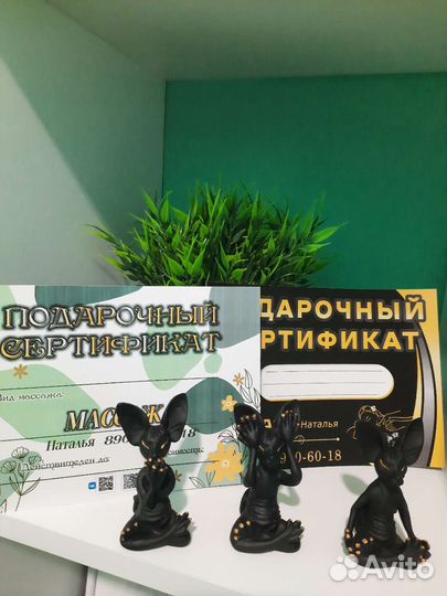 Массаж(профессиональный) ручной