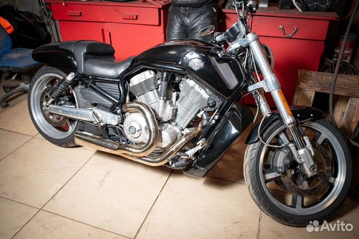 Harley Davidson V-Rod Muscle 2010 (пробег 3500)