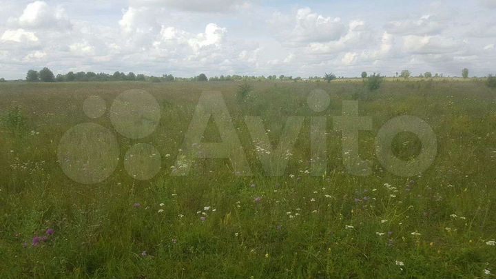 Участок 7 га (СНТ, ДНП)