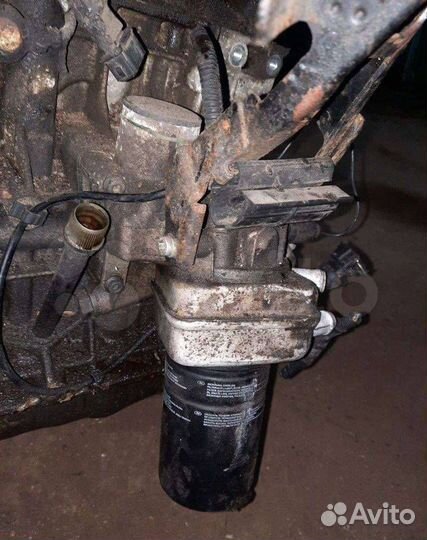 Радиатор масляный Volkswagen Golf 4 1999