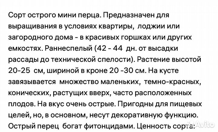 Перец комнатный острый мини Ивонна