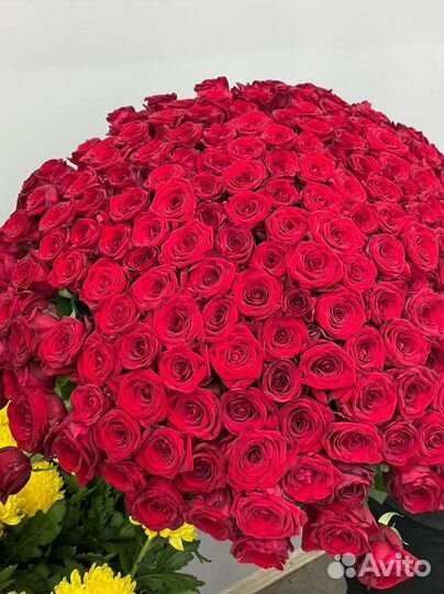 Цветы в роддом