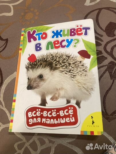 Кто живет в лесу Детские книги