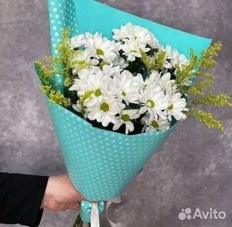 Букет Цветы Хризантемы