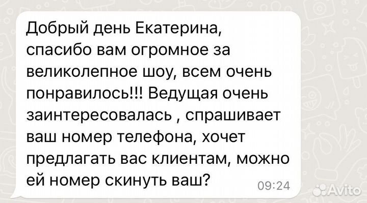 Световое шоу. Свадьбы, юбилеи, утренники
