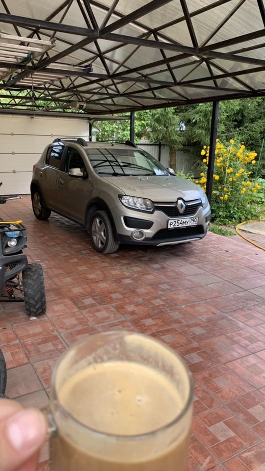 Renault Sandero Stepway: фото владельца