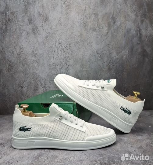Мужские кеды Lacoste (41-46)