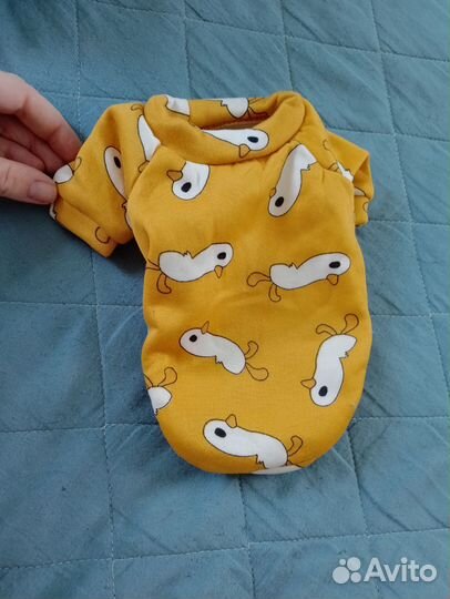 Одежда для маленьких собак