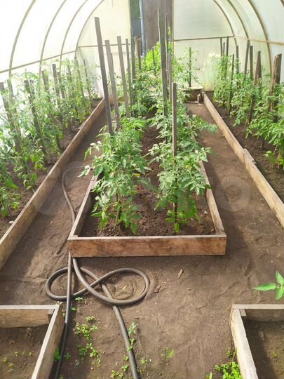 Дача 12 м² на участке 5,5 сот.