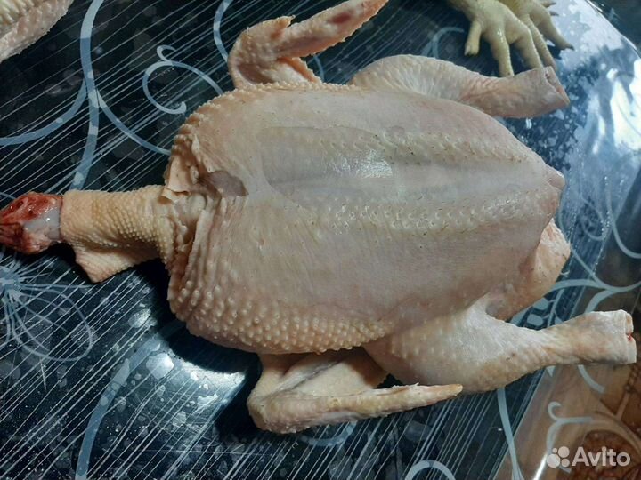 Домашние куры бройлеры мясо