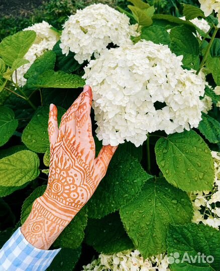 Хна для мехенди