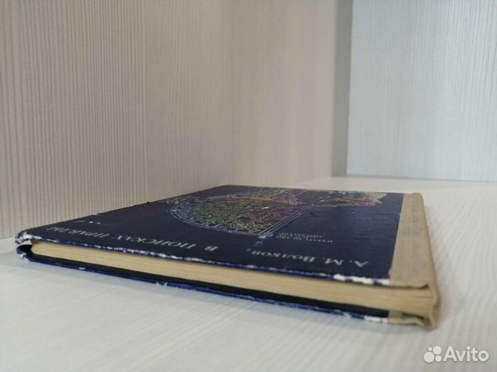 А. М. Волков - В поисках правды