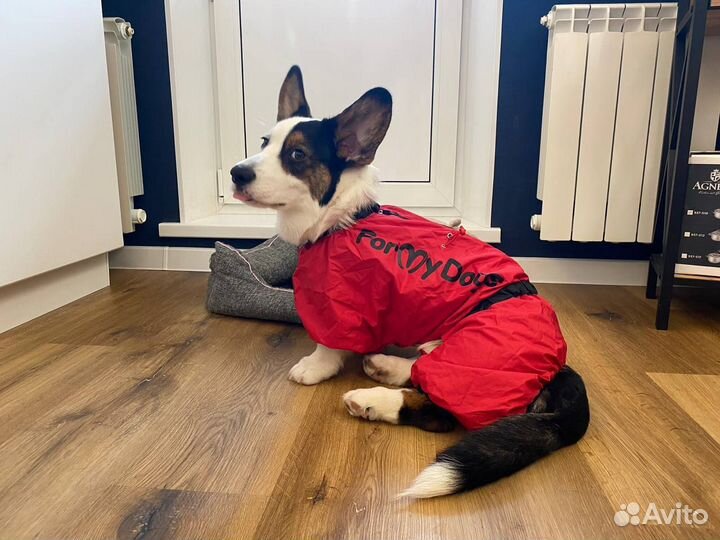 Дождевик для мальчика