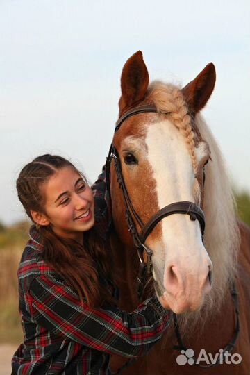 Конные прогулки
