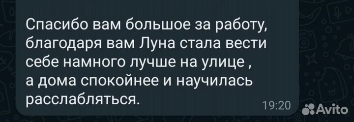 Кинолог/Дрессировка и воспитание собак