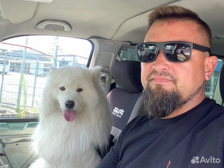 Вскрытие замков вскрытие авто дверь открыть