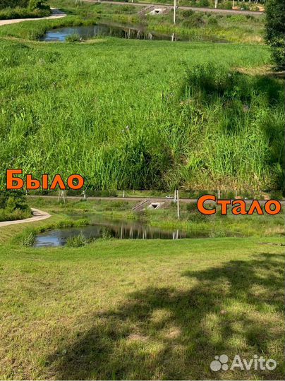 Покос травы