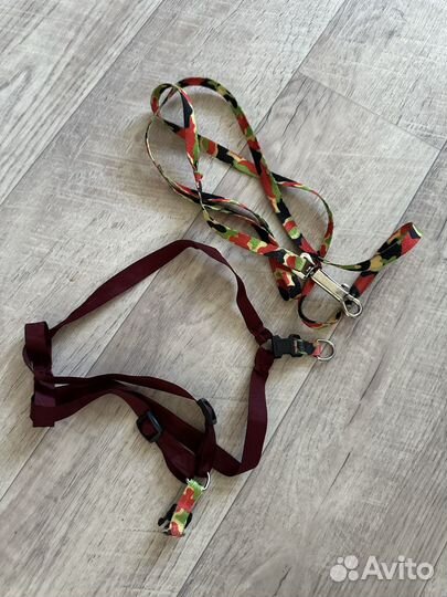 Шлейка для кошки