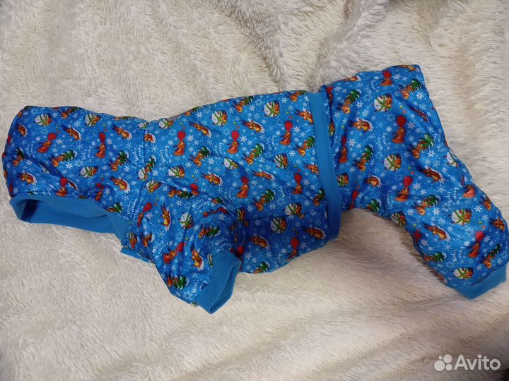 Костюм для собаки