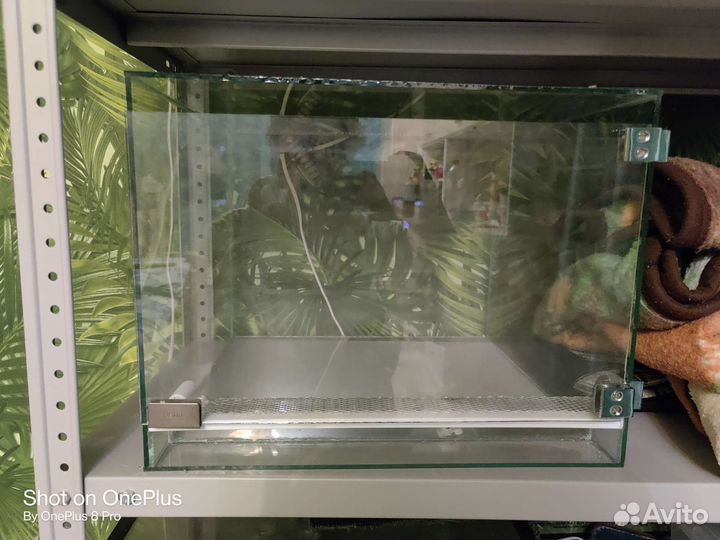 Террариумы