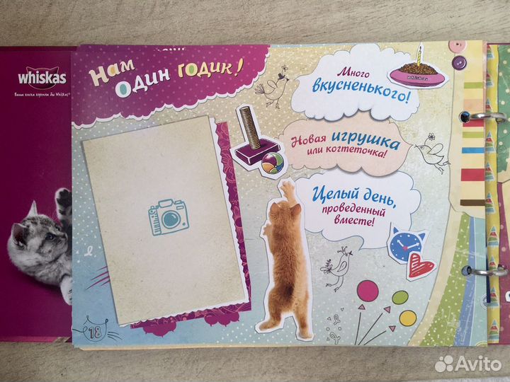 Фотоальбом для вашего котёнка