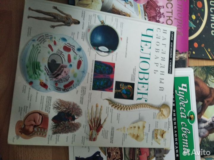 Детские энциклопедии (Аванта, DK, Махаон и др.)