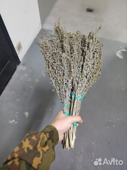 Банные веники