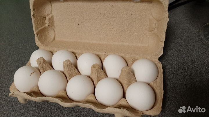 Домашние куриные яйца