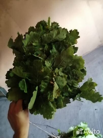 Веники для бани