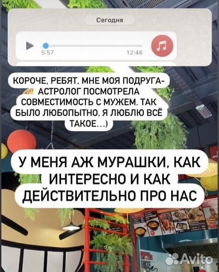 Ведический астролог