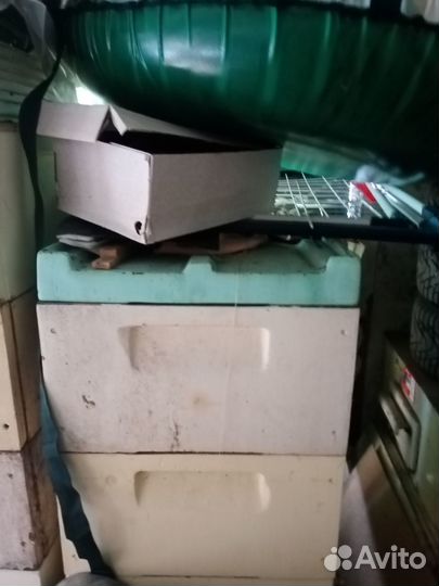 Пчелиные ульи