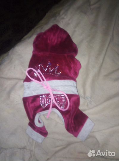 Одежда для маленьких пород собачек