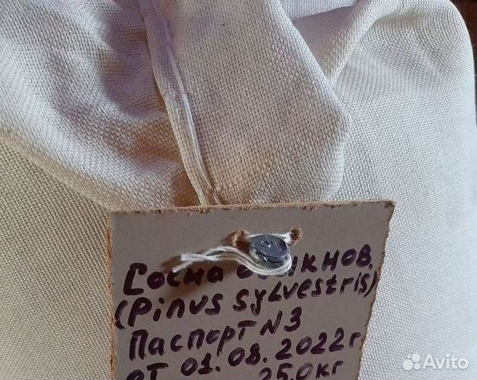 Семена / Сосна обыкновенная