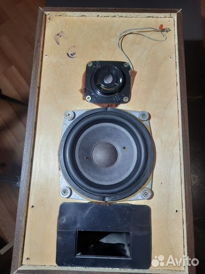 Акустика Radiotehnika S-30 B