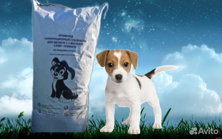 Сухой корм супер-премиум класса для собак/щенков