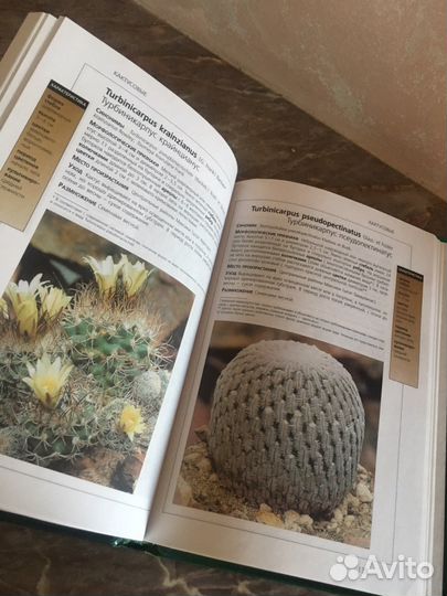 Справочник по кактусам, очки