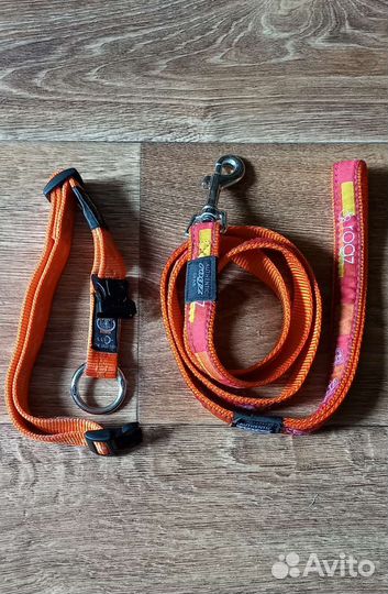 Ошейник + поводок rogs