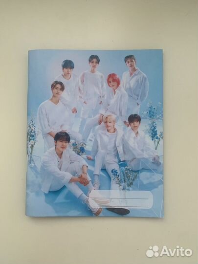 Тетрадь stray kids
