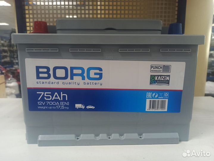 Аккумуляторы borg