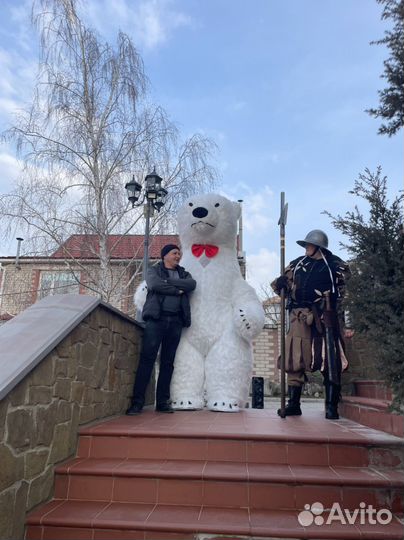 Аниматор мишка