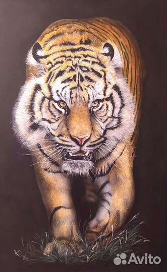 Тигр картина на хотите маслом