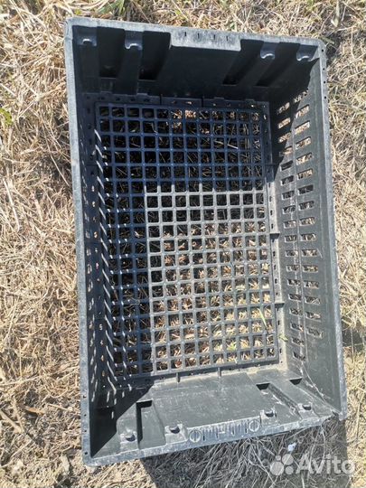 Пластиковые пищевые ящики