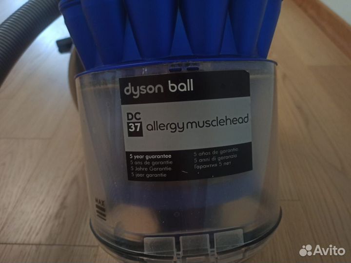 Пылесос dyson ball dc37 Allergy Musclehead
